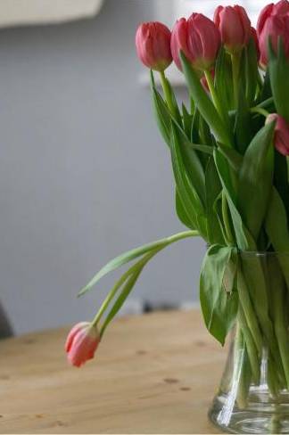 Unsere Blumen-Philosophie