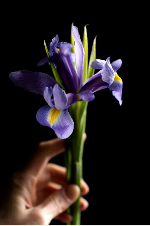 Bouquet 2