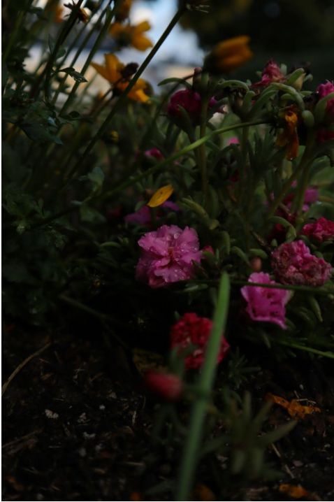 Herbst Bouquet