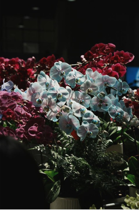 Bouquet 1