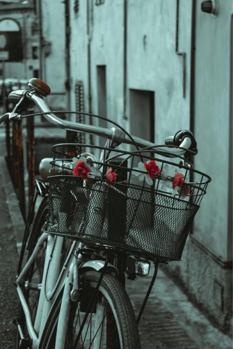 Express Lieferung Blumen Wien
